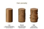 How to test hair porosity type