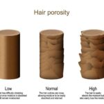 How to test hair porosity type