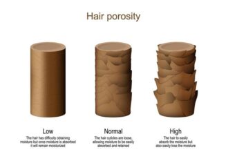 How to test hair porosity type