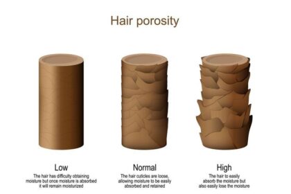 How to test hair porosity type