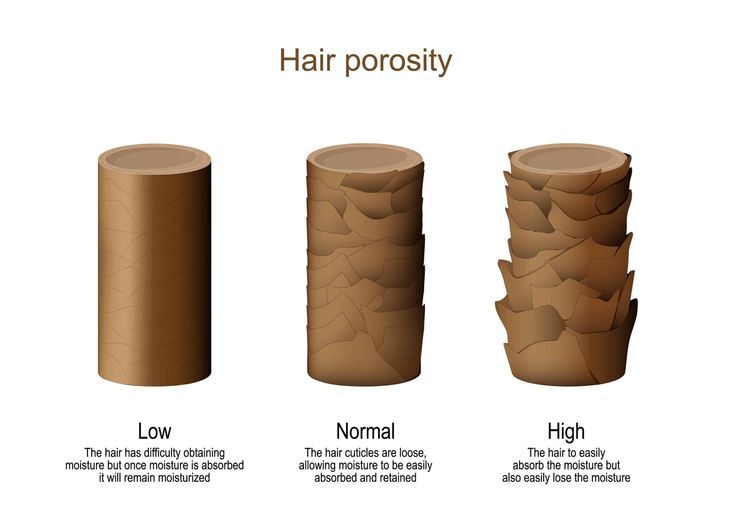 How to test hair porosity type